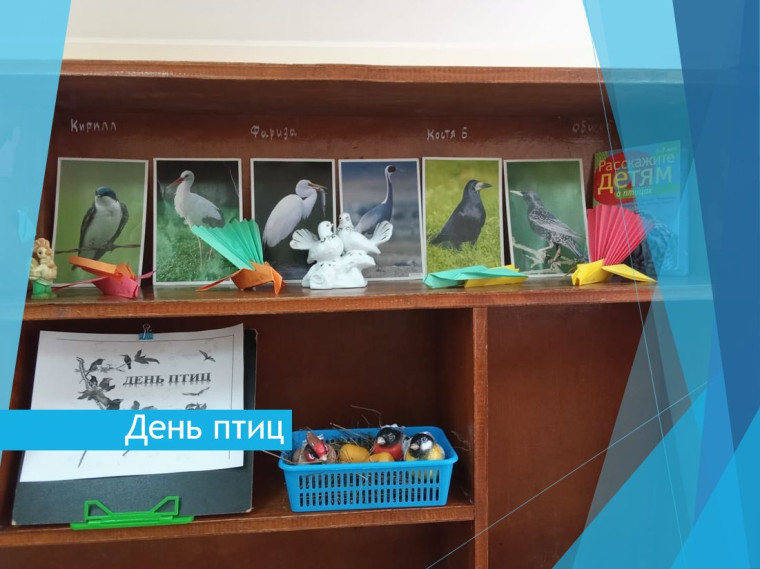 Международный день птиц.